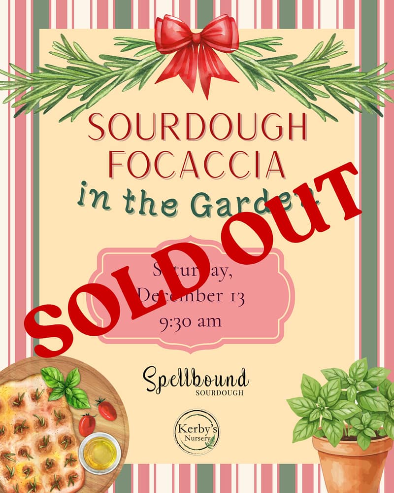 Sourdough Focaccia Workshop in the Garden at Kerby's Nursery on December 13, 2025 - SOLD OUT