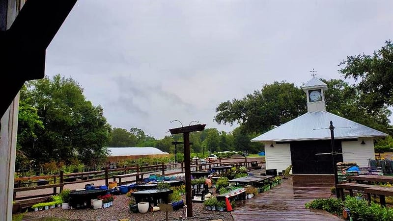 Kerby's Nursery during Hurricane Ian