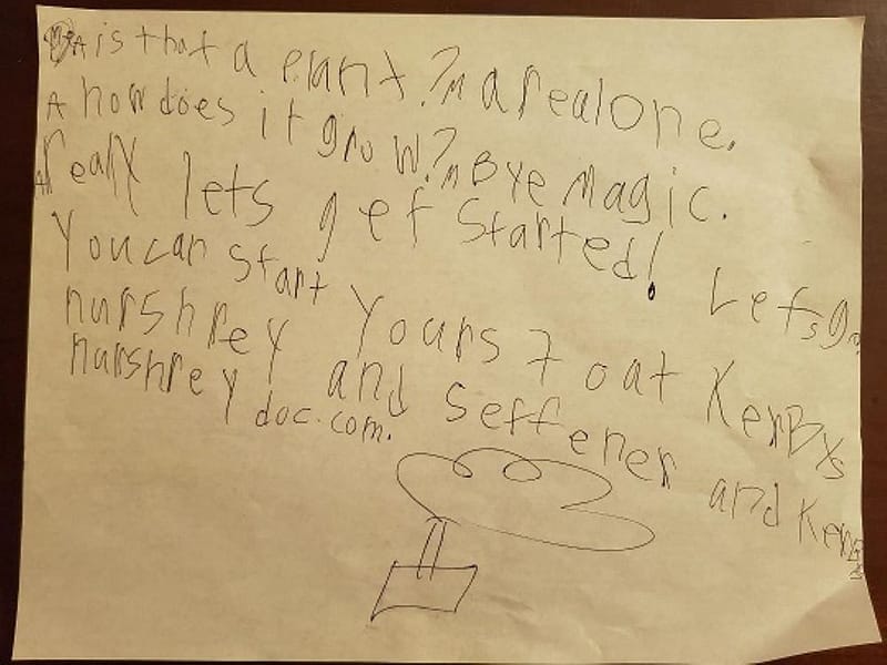 Maddy's Ad for Kerby's Nursery 2019