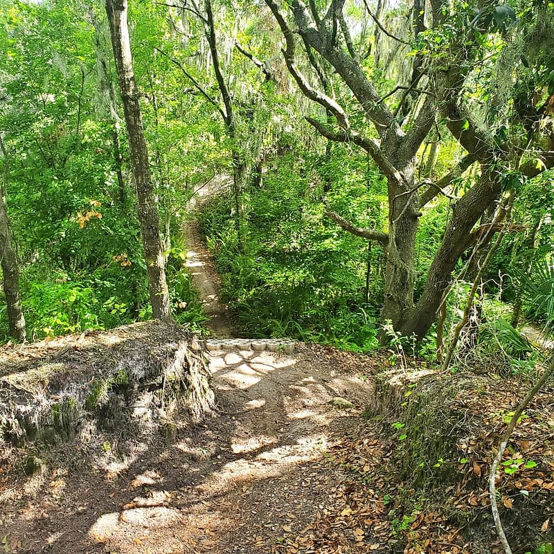 Top of a Descent on Chaos, Mountain Bike Trail