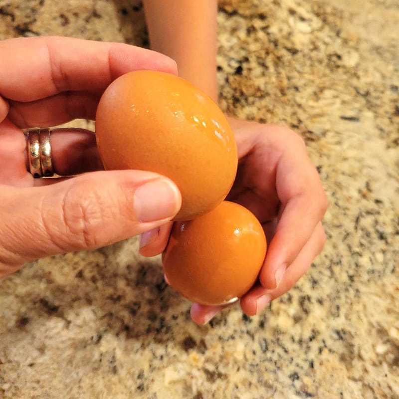 Two Eggs Being Jarped (tapped together on the ends)