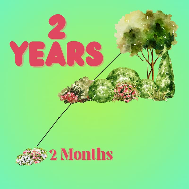 Graph Showing Garden Growing from 2 Months to 2 Years