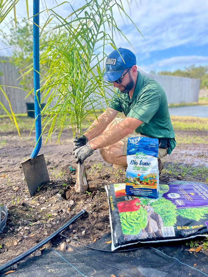 Planting a Tree