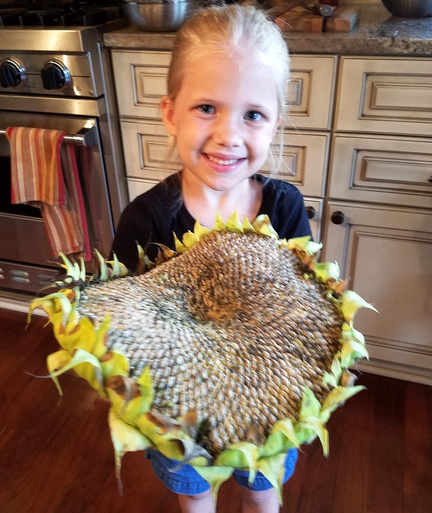 Abby Holding a Huge Sunflower