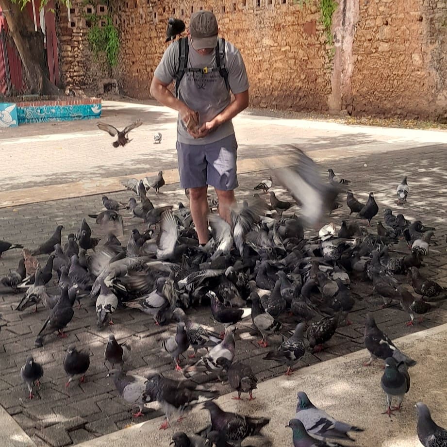 Man Feeding Pigeons All Around Him with One on His Shoulder