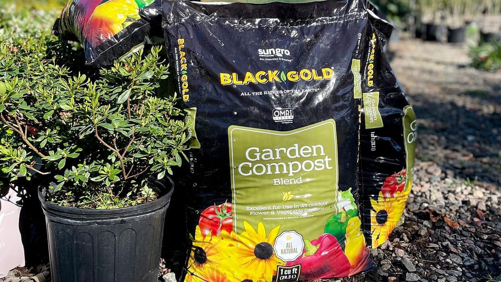 Black Gold Garden Compost, soil