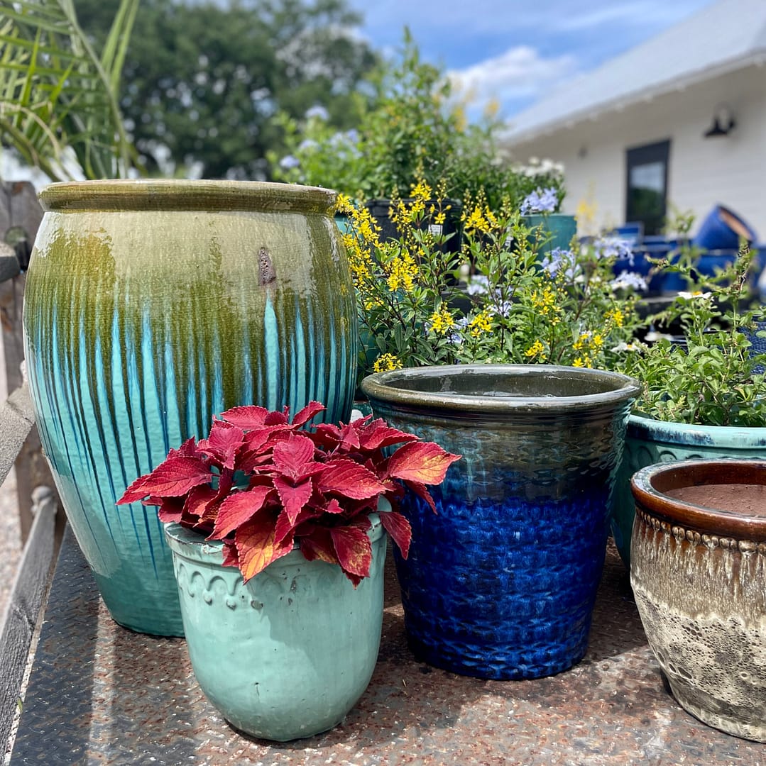 Outdoor Pottery and Plants