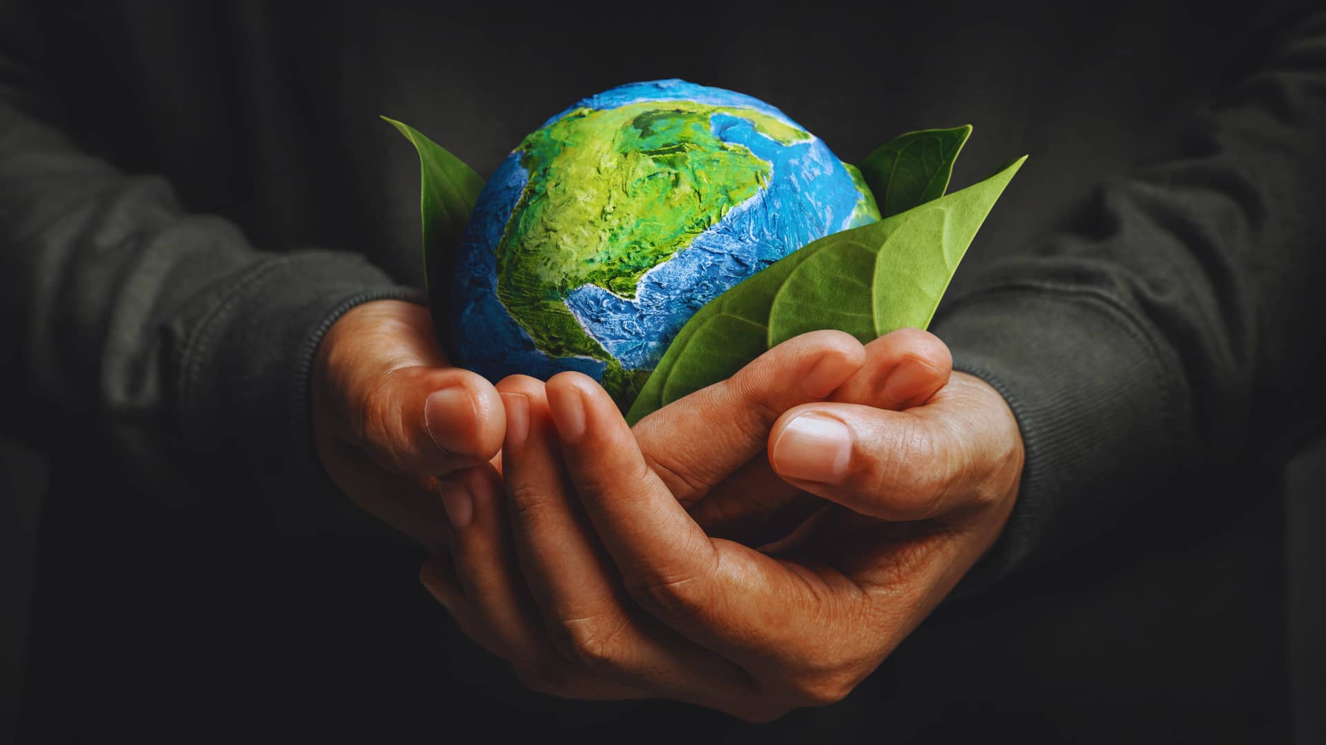 Hands Holding Globe/Earth Wrapped in Leaves