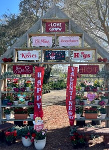Kerby's Nursery Valentine Wall 2024: Valentine Signs, Banners, Plants