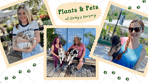 Plants and Pets Event 2022: People with Bunny, Dogs, and Pig