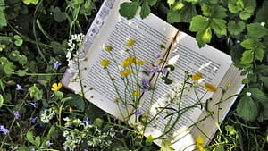 Book in Garden