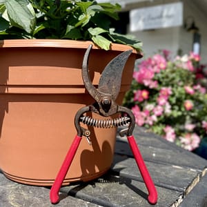 Pruners Leaning Against a Potted Plant