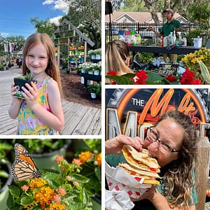 Collage of Pictures: Girl with Plant, Man Teaching Seminar Outdoors, Lady Eating a Sandwich, Butterfly on Flowers