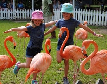 Two girls join the marching flamingos.
