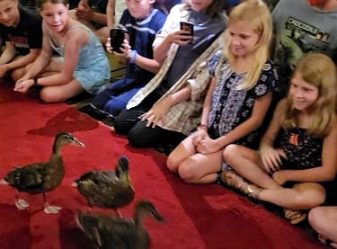 Abby and Maddy watching the Peabody Ducks march out