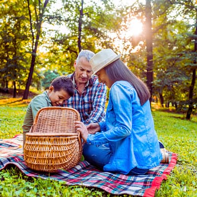 Family on a Picnic