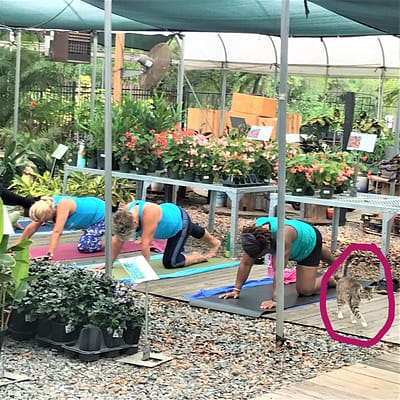 Yoga in the Garden at Kerby's Nursery