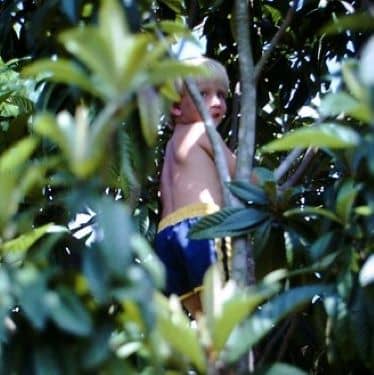 Joey Climbing a Tree