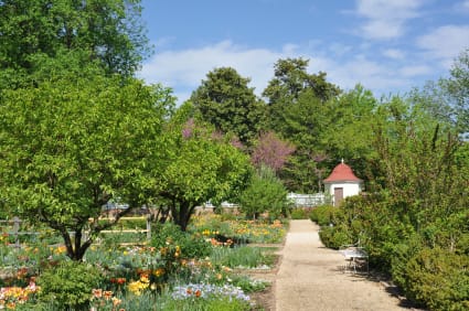 Upper Garden of George Washington's Mount Vernon Estate, Virginia, USA