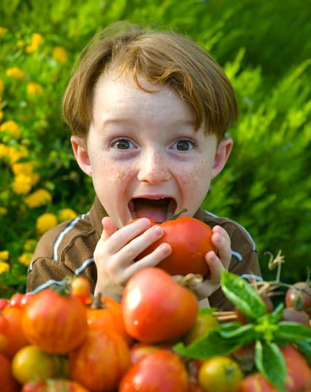 Child Eating a Tomato