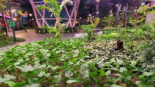 The Orchard, Doha, Qatar Airport's Indoor Garden