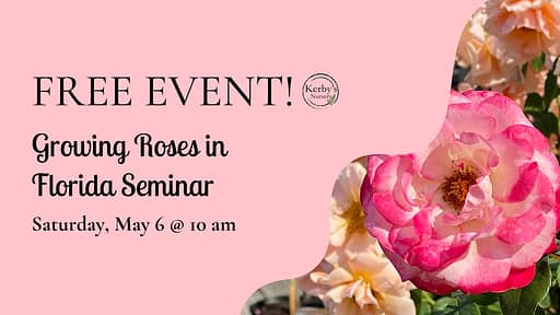 Kerby's Nursery Growing Roses in Florida Seminar Information