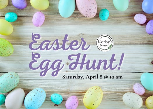 Easter Egg Hunt 2023 Information