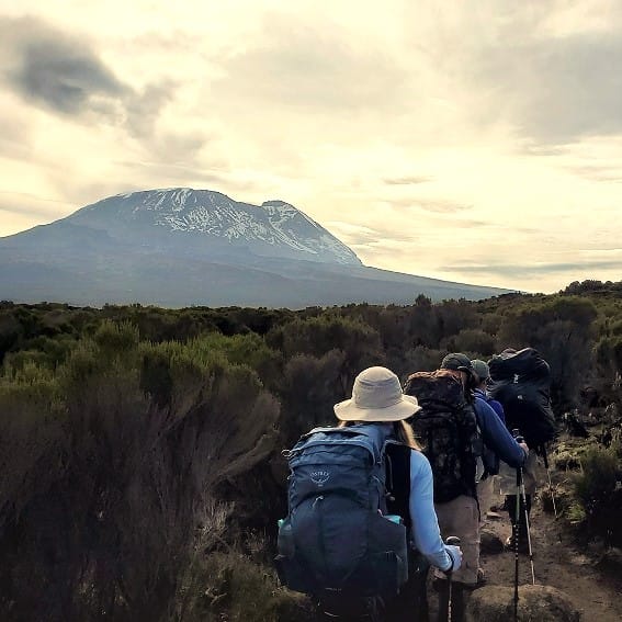 People Hiking Mt. Kilimanjaro with It Rising in the Background