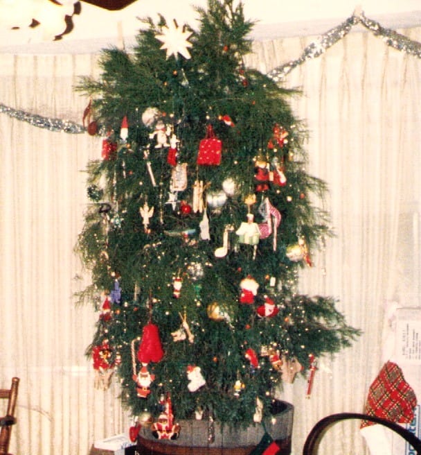 Bokor Family Christmas Tree Many Years Ago
