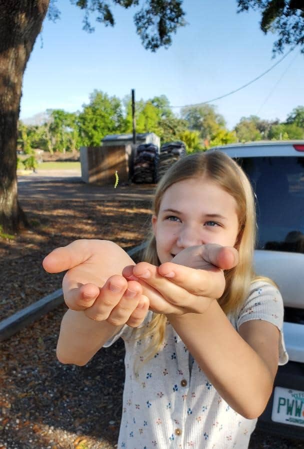 Girl (Abby) with Green Moth Caterpillar Hanging from Oak Tree