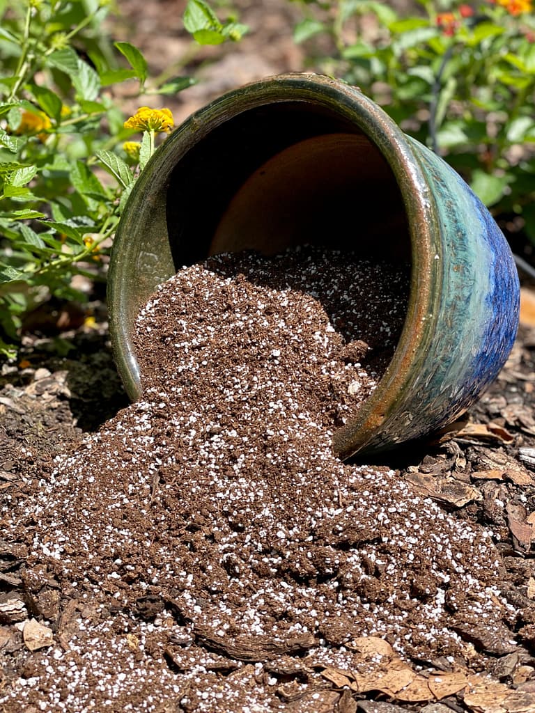 Good Soil Spilling Out of a Pot