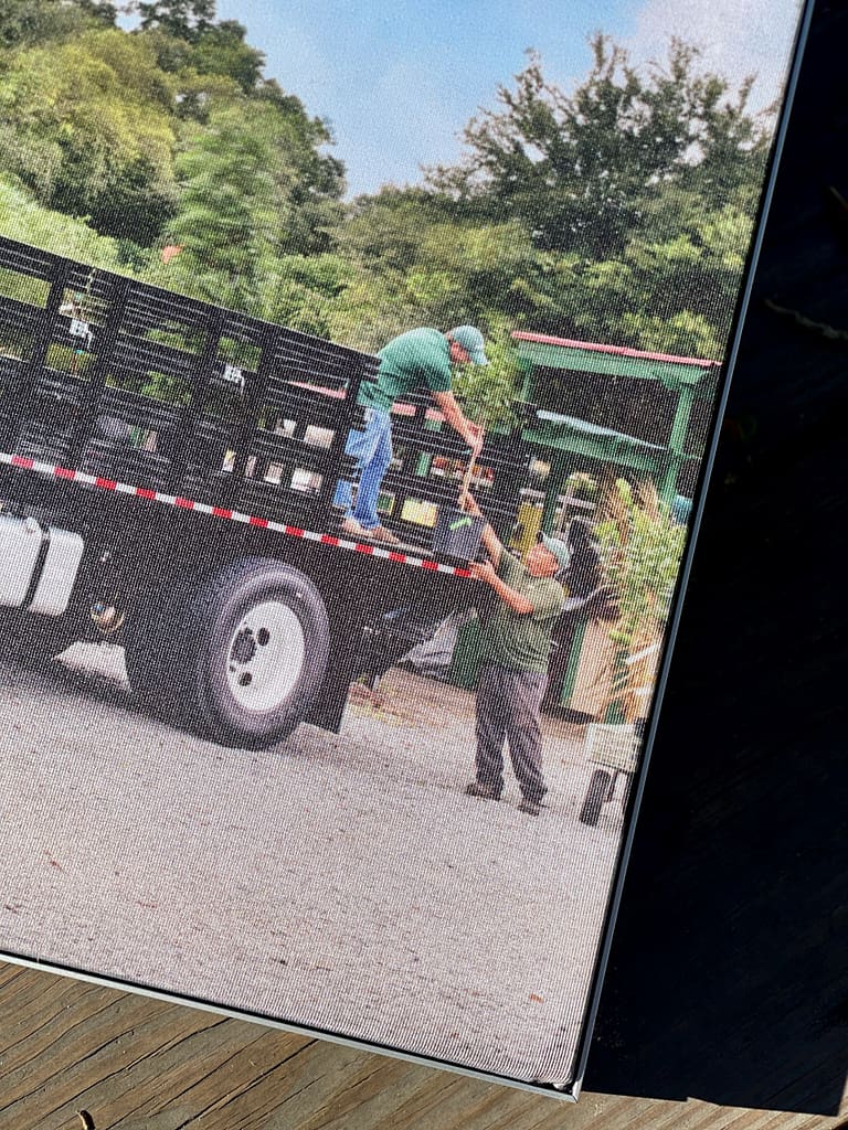 Picture of a Photo with Two Men (Minervo and Joey) Loading a Tree onto a Truck