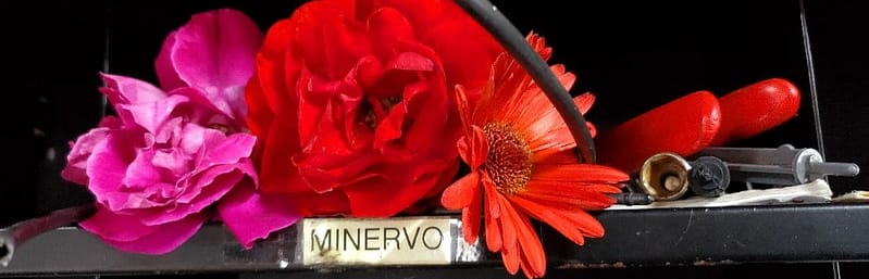 Minervo's Staff Mailbox with Flowers in It