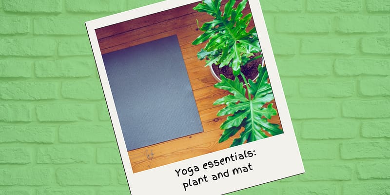 Yoga Mat and Plant