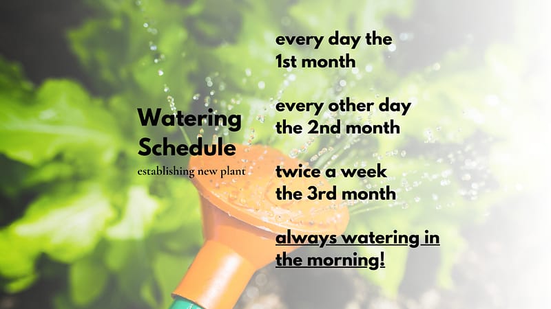 Garden Hose Watering with Watering Schedule