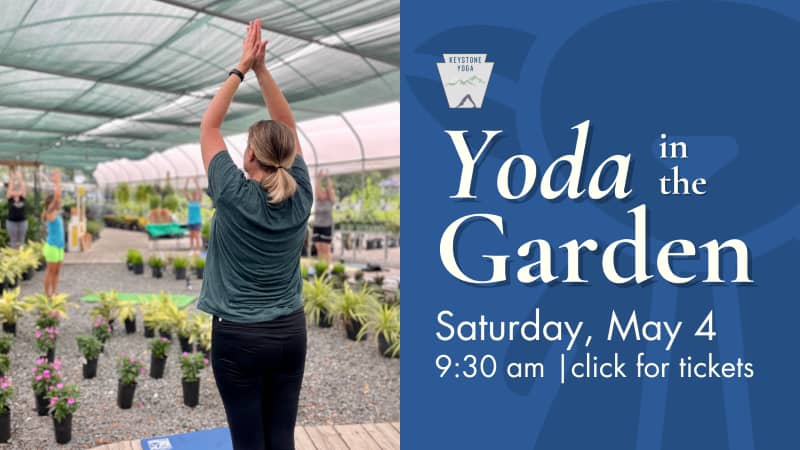 Yoda in the Garden - Kerby's Nursery Yoga in the Garden Info with Picture of Lady Doing Yoga