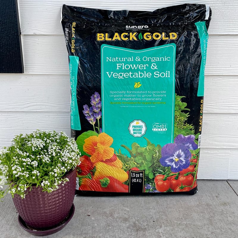 Black Gold® Natural and Organic Flower & Vegetable Soil in bag