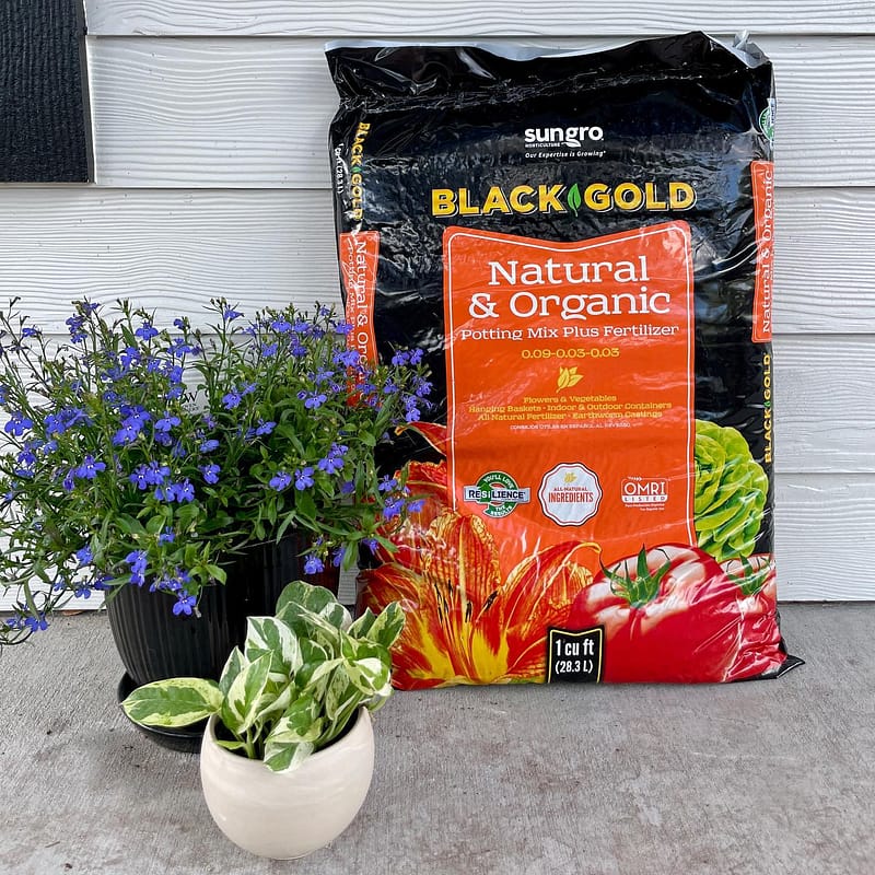 Black Gold® Natural and Organic Potting Mix Plus Fertilizer in bags