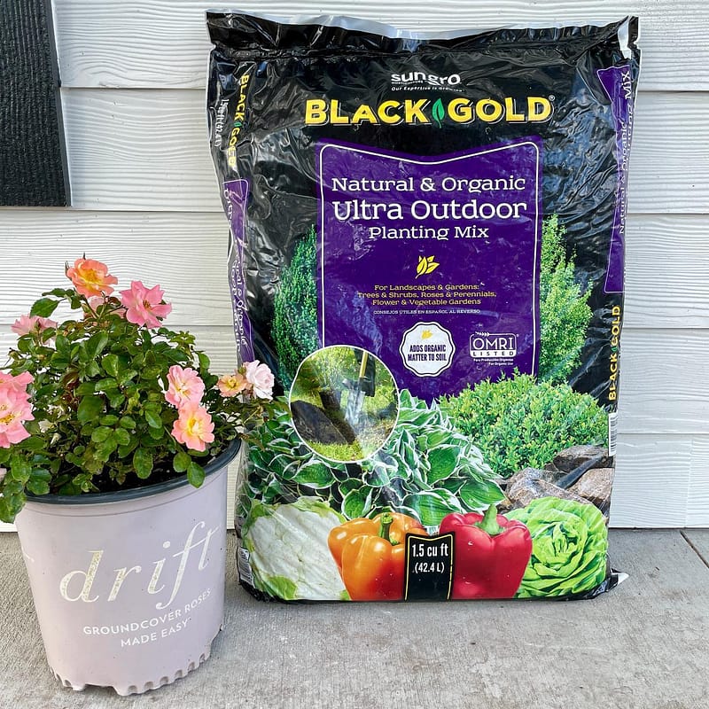 Black Gold® Natural and Organic Ultra Outdoor Planting Mix in bag