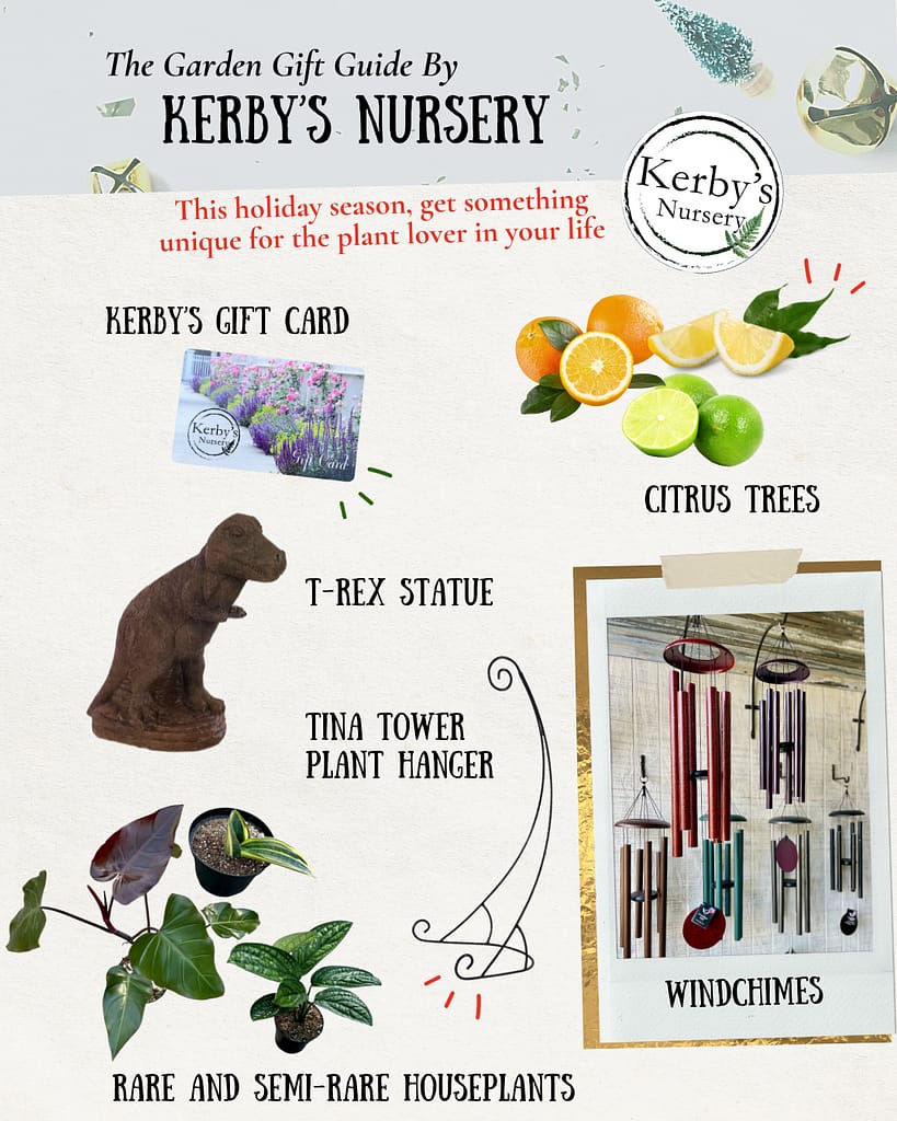 Kerby's Nursery Gift Guide 2021 Holiday Season (Gift Card, T-Rex Statue, Citrus, Windchimes, Houseplants, Hanging Basket Stand)